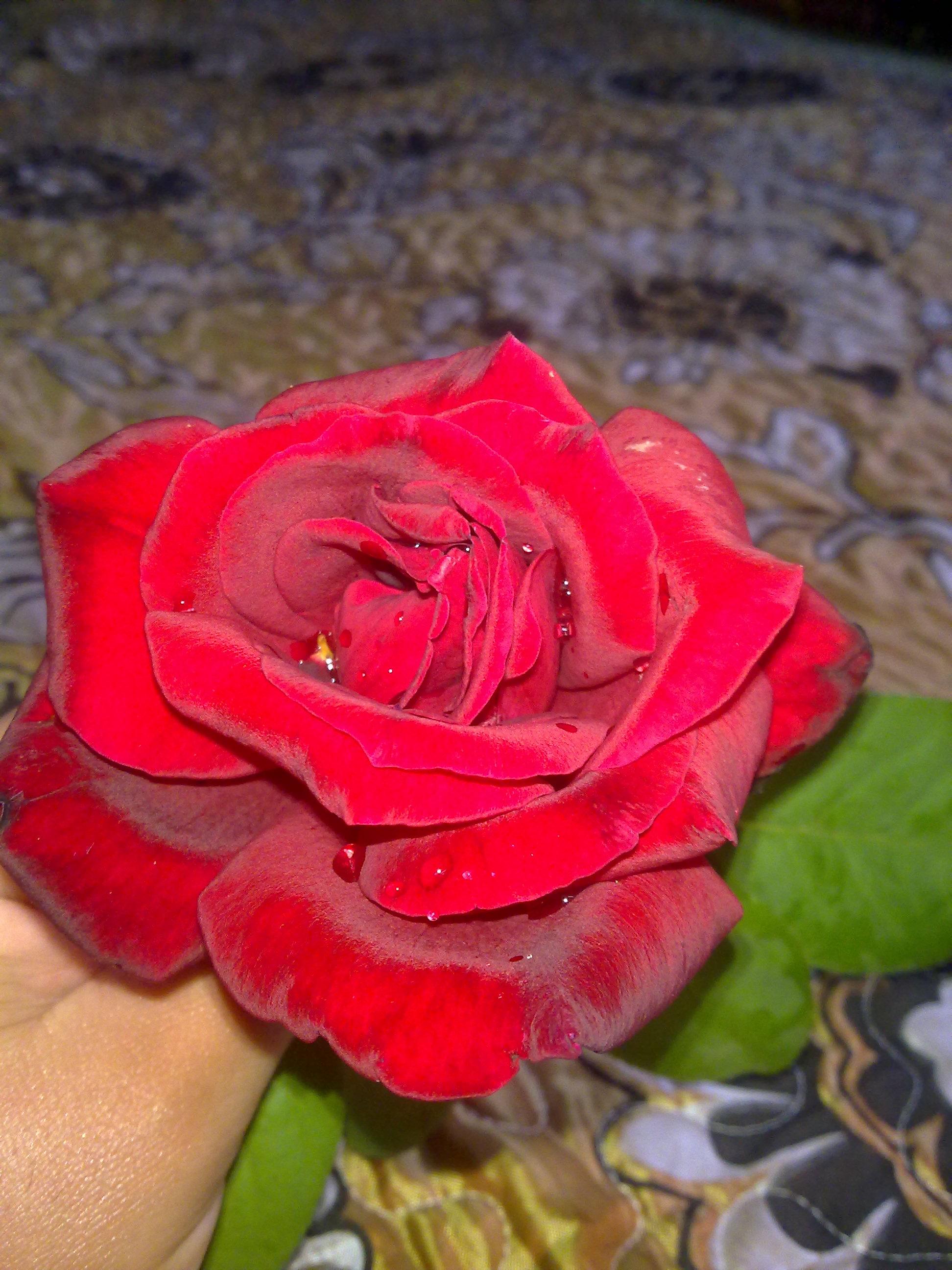 ���� ���� ������ �� ���� ������