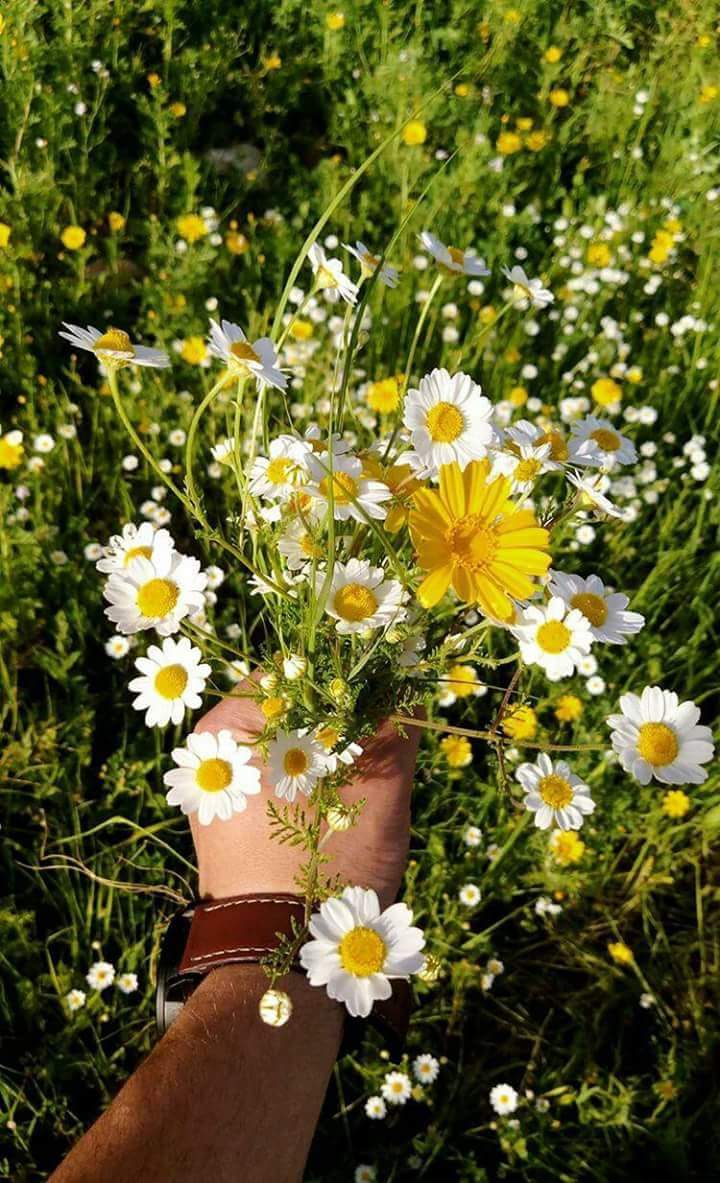 ���� ���� ������ �� ���� ������