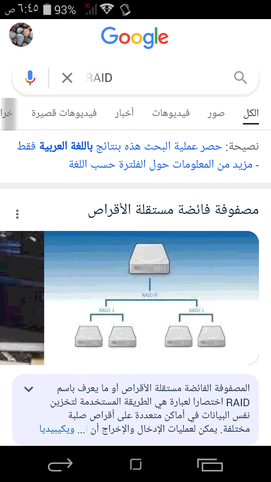 معنى RAID