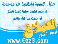 الباحث العربي