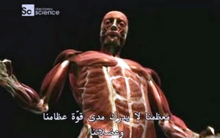 خليجية