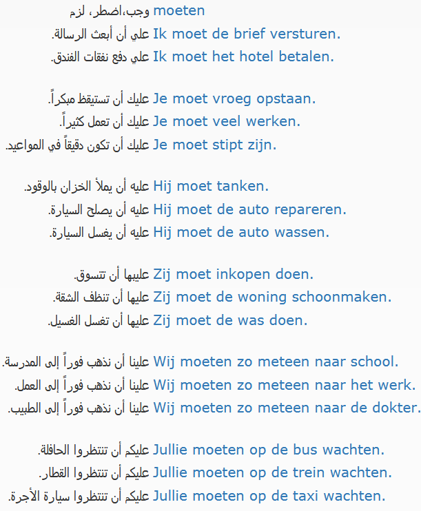 جمل هولندية