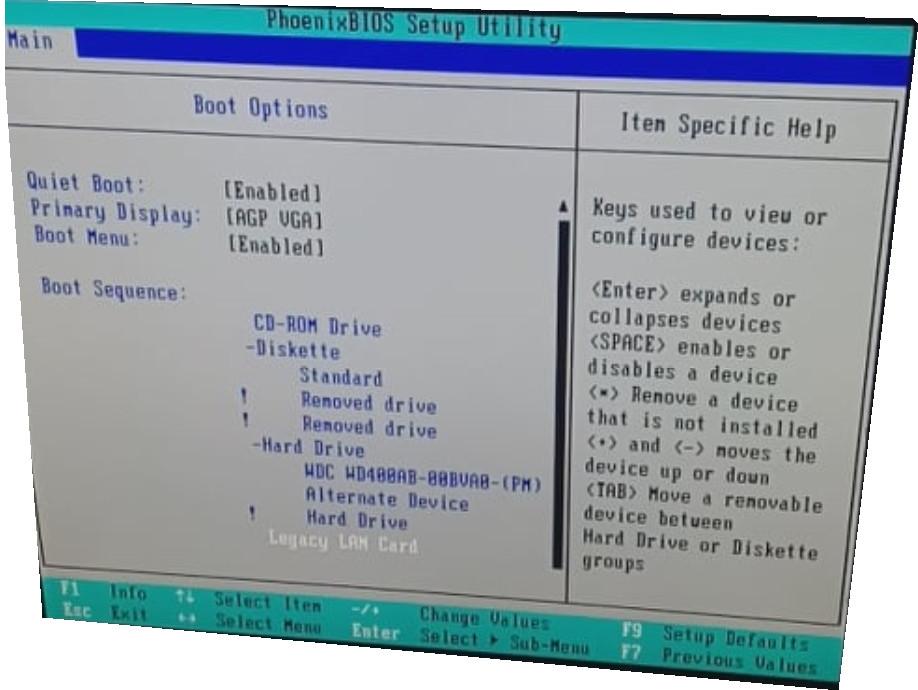 951472642.jpg