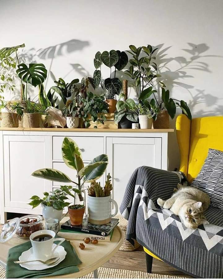 ���� ���� ������ �� ���� ������