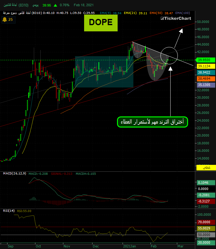 أمانة للتأمين (8310) - هوامير البورصة السعودية