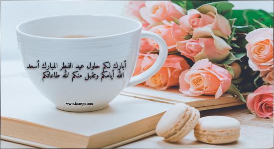 نقره لعرض الصورة في صفحة مستقلة