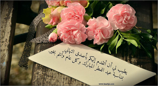 نقره لعرض الصورة في صفحة مستقلة