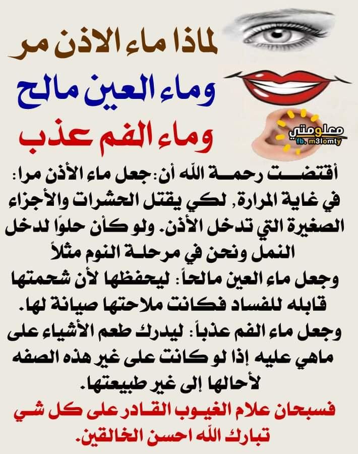 ���� ���� ������ �� ���� ������