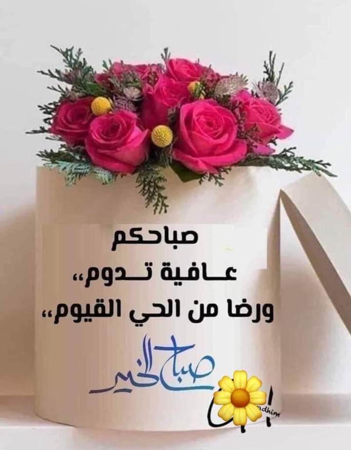 ���� ���� ������ �� ���� ������