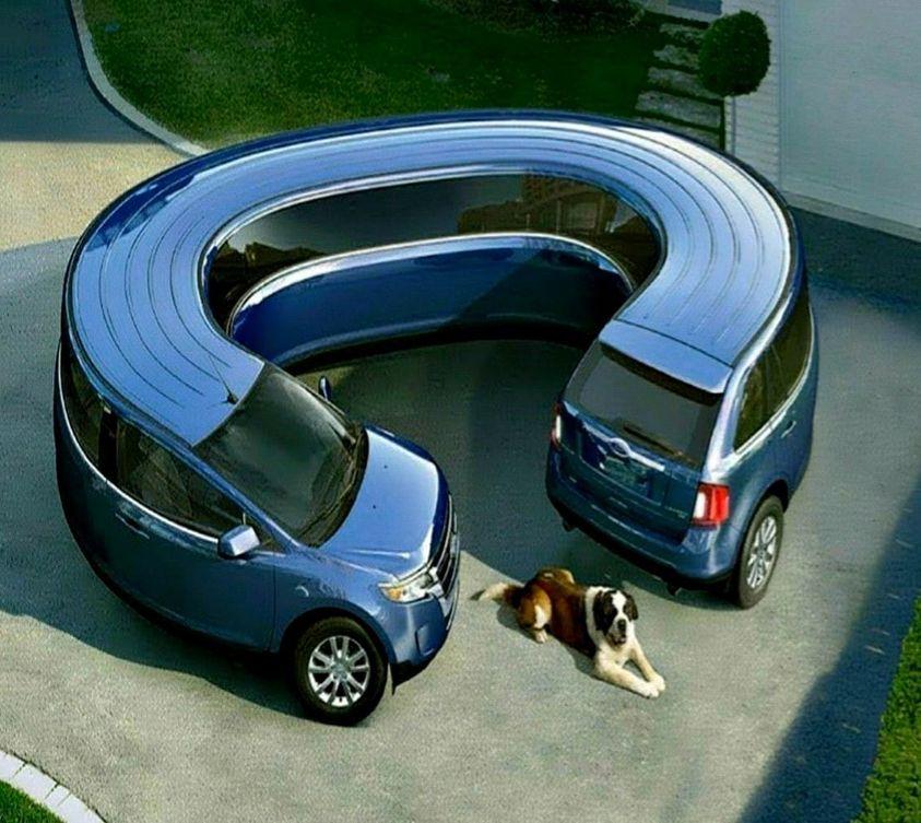 ���� ���� ������ �� ���� ������