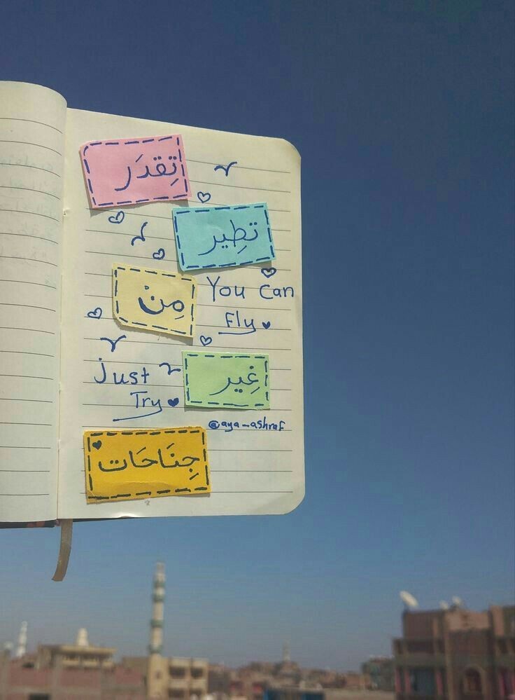 ���� ���� ������ �� ���� ������