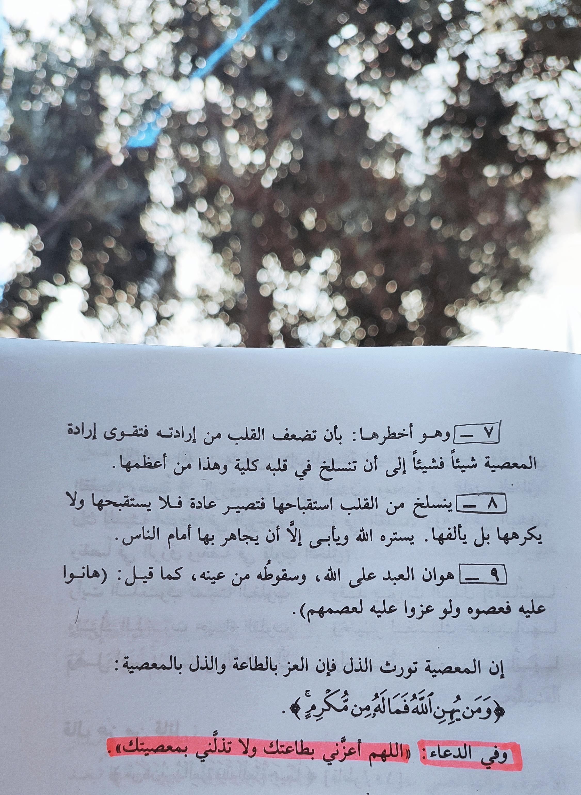 ���� ���� ������ �� ���� ������