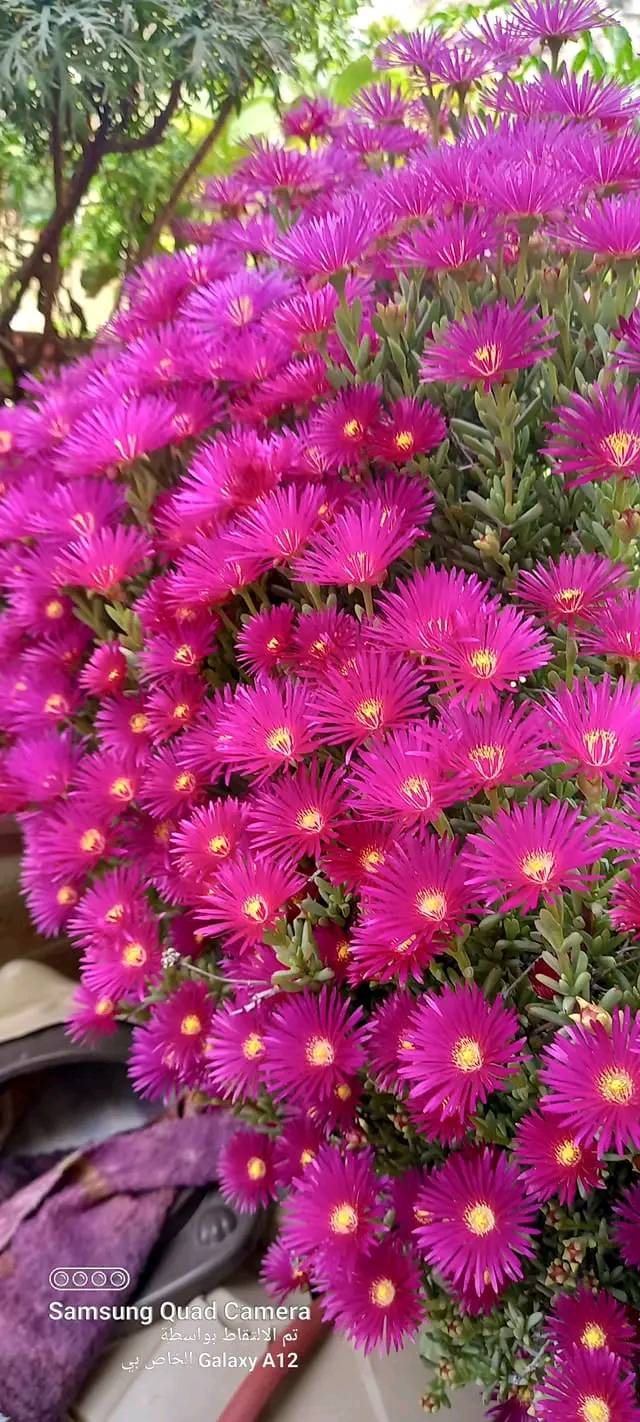 ���� ���� ������ �� ���� ������