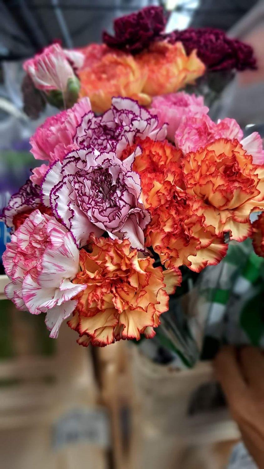 ���� ���� ������ �� ���� ������