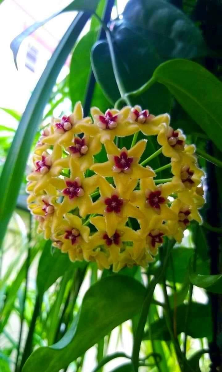 ���� ���� ������ �� ���� ������