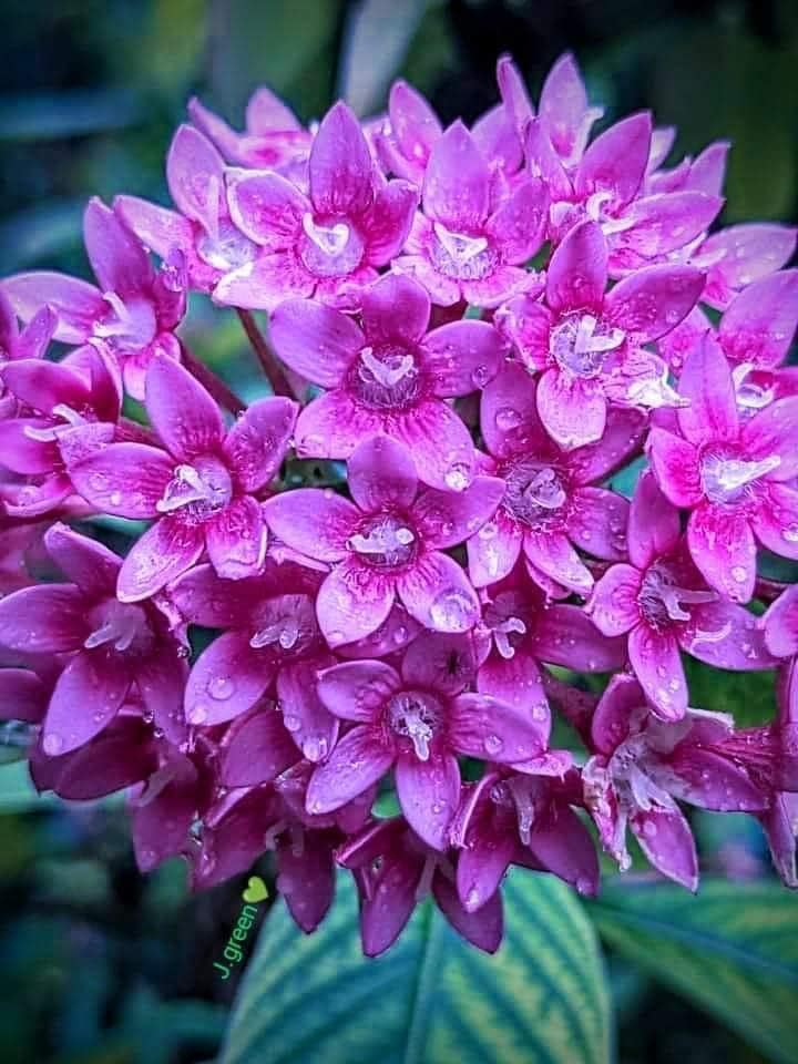 ���� ���� ������ �� ���� ������