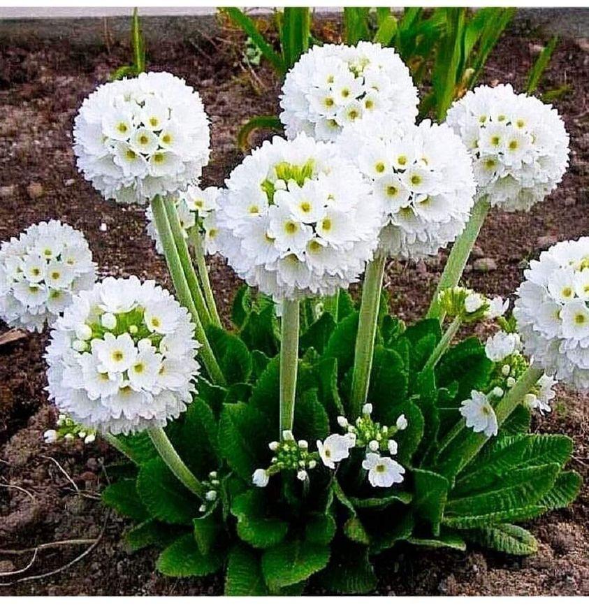 ���� ���� ������ �� ���� ������