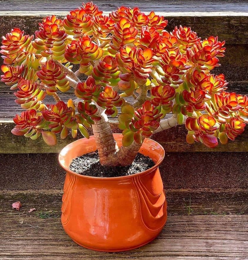 ���� ���� ������ �� ���� ������