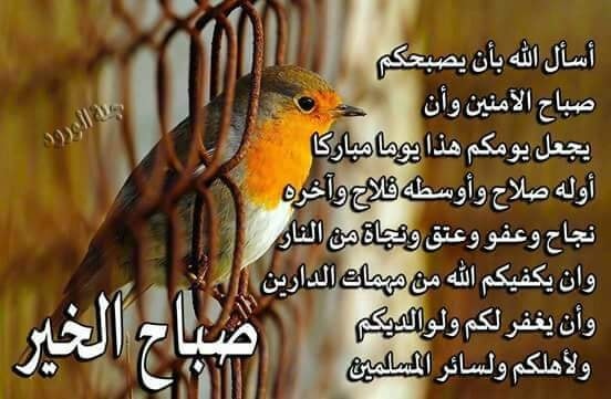 ���� ���� ������ �� ���� ������