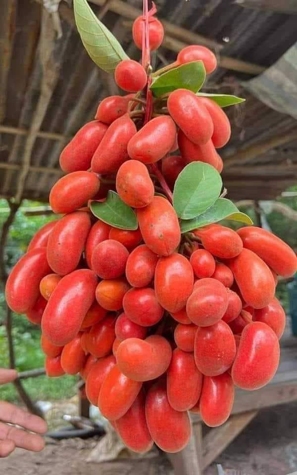 ���� ���� ������ �� ���� ������