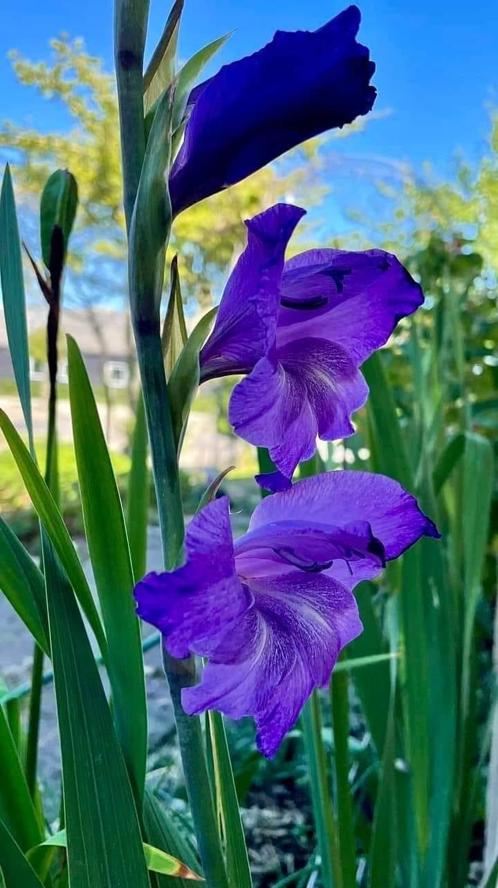 ���� ���� ������ �� ���� ������