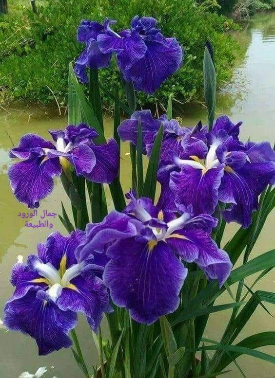 ���� ���� ������ �� ���� ������