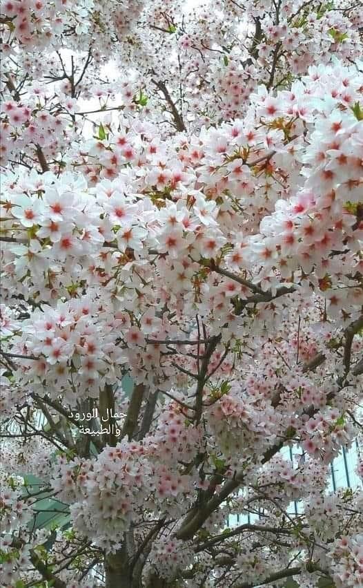 ���� ���� ������ �� ���� ������