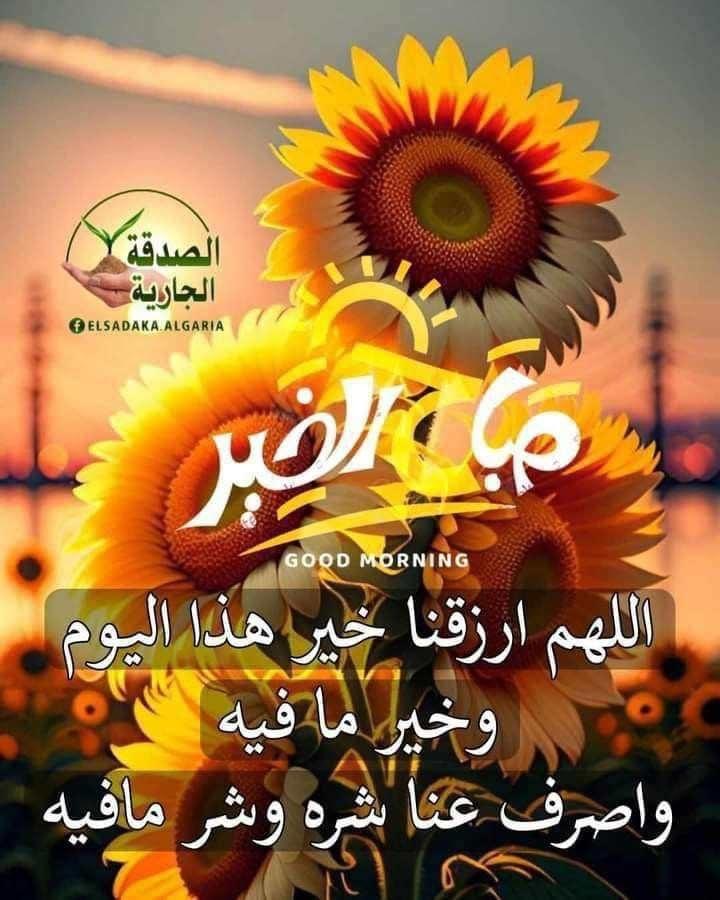 ���� ���� ������ �� ���� ������