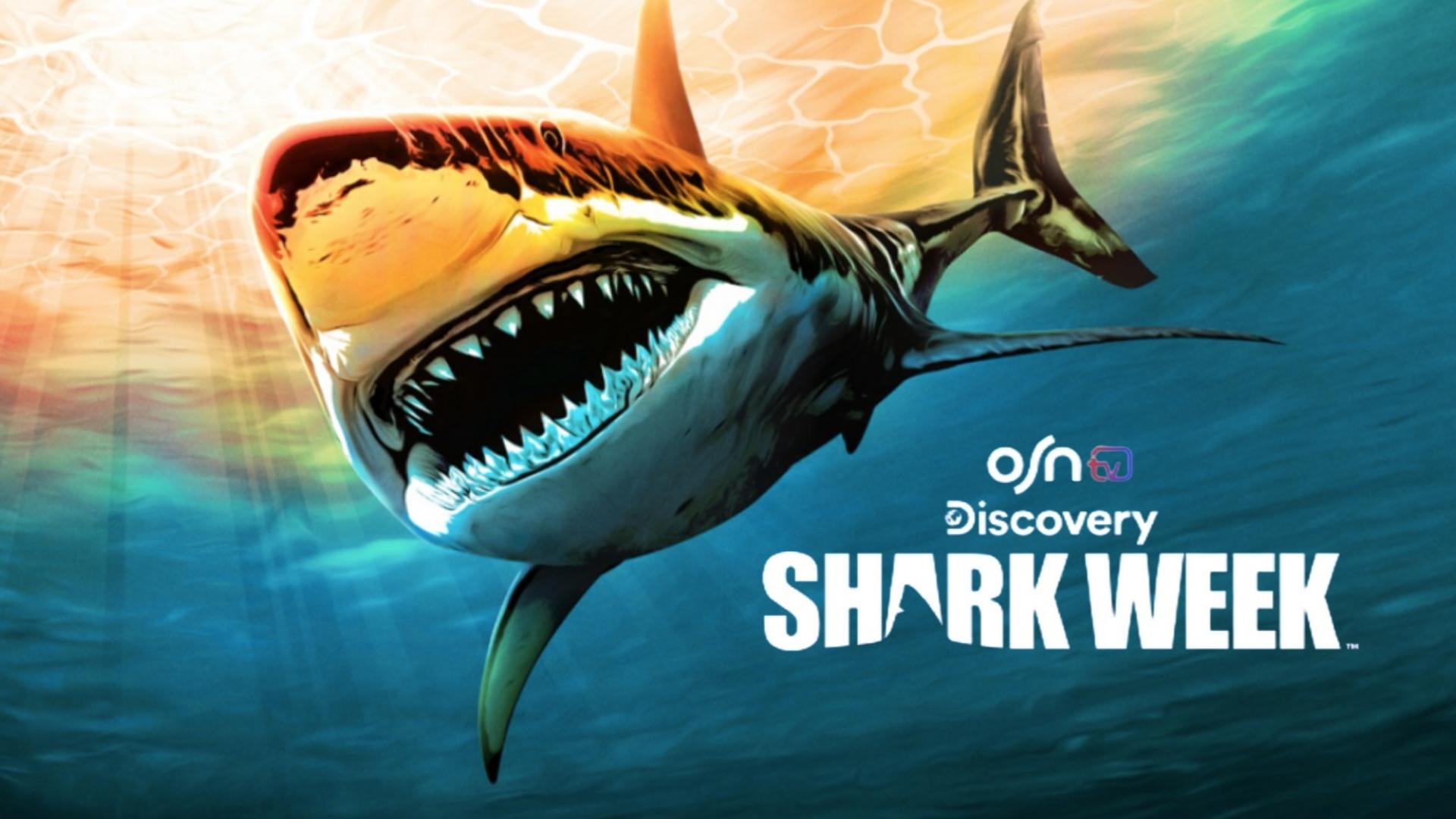  انطلاق قناة OSN tv DISCOVERY SHARK WEEK 808885581