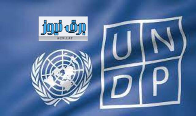 وظائف شاغرة يعلن عنها برنامج الأمم المتحدة الإنمائي (UNDP)