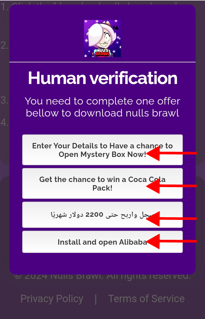 Human Verification Process